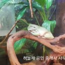 평택은산공인중개사사무소 이미지