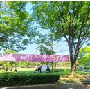 안산시립합창단 특별기획공연 미술관 옆 콘서트 이미지