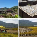 봉하농촌 체험마을 이미지