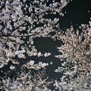 율하근린공원 이미지