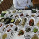 손채익한의원 Daum카페