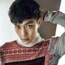 레이디올 이미지