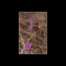 북서울꿈의숲 서문 이미지