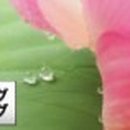 카페2F(Cafe 2F) 이미지