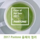 그리너리(Greenery)-2017년 올해의 컬러 이미지