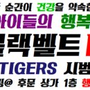 K-블랙벨트 태권도장 이미지