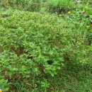 상화농장 이미지