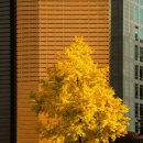 남대문공원 이미지