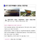 내성천 제방도로 이미지