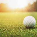 알지골프 이미지