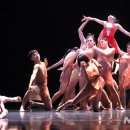 팀 펜로즈 이미지