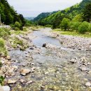 누리바로 이미지