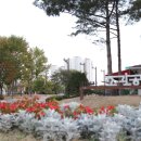 춘천배수펌프장 이미지