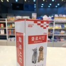 메디칼참약국 이미지