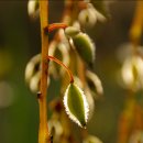 금광농원 이미지