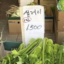 4월 이제야 마주한 꿈의 대양