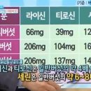 글로벌대왕버섯