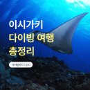 은지보석 | 이시가키 스쿠버다이빙 여행 총정리 다이버 기준 준비부터 후기까지