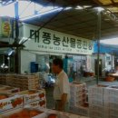 영동청과 이미지