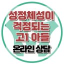 [온라인 상담: 성정체성이 걱정되는 고1 아들] 한국아동청소년심리상담센터 이미지