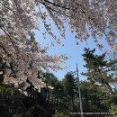 [강원 양양군] 양양 캠핑장 추천 다시 방문한 양양 솔바다 캠핑장 후기