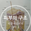 김상헌한의원 이미지