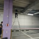 양재동 신성빌딩 이미지