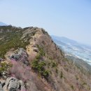 편백향기 이미지