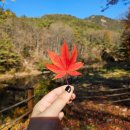 공원로 | 서울대안양수목원 개방 및 입장료, 가는법, 예약, 주차 총정리