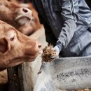 이수동물병원 이미지