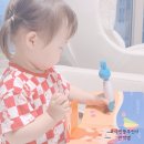 코알라홈 | 두돌아기책 전집 비교 블루래빗 시작시리즈 &amp; 베베코알라