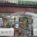 강남25시동물병원