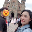 편백숲길 유하팬션 네이버블로그