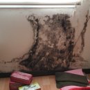 하사경로당 이미지