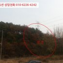 대로3류(연풍리) 네이버블로그