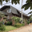 하모니통나무집 이미지