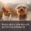 청림당 이미지