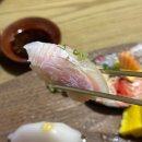 다섯번째토마토 | 대전 초밥 맛집 초미당 세번째, 웨이팅 꿀팁 메뉴 추천 내돈내산 후기