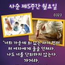 2026년 3월 23일 사순 제5주간 월요일＜너희 가운데 죄 없는 자가 먼저 저 여자에게 돌을 던져라.＞ 이미지