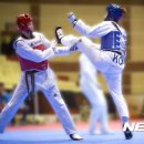 강원태권도체육관 이미지