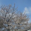 칼빈신학대학원 이미지