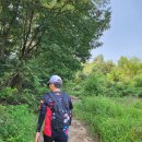 송산태양광21호발전소 | 서해랑길 87코스(순방향, 이화리정류소 → 궁평항)