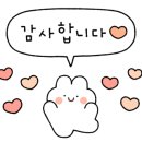 벌거벗은 고양이 이미지