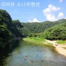 리버뷰소나무펜션 이미지