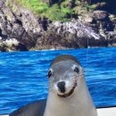 소중농장 이미지