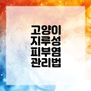 작은 친구 동물병원 이미지