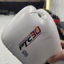 PTC태권도 이미지