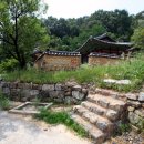 충신의사단비 이미지