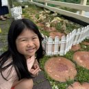 하연이의 주말이야기 이미지