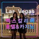 엑스칼리버 호텔&amp;카지노,라스베가스 여행,출장 추천 숙소,뉴욕뉴욕,트램역